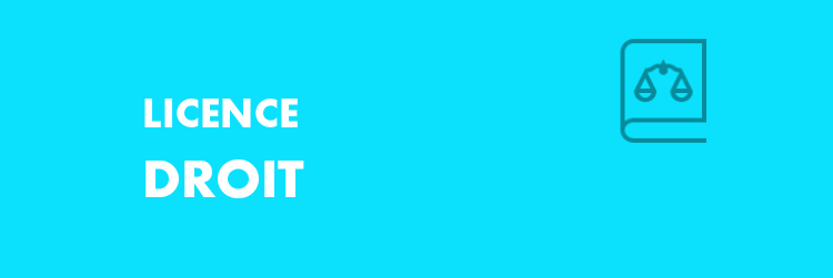 Licence de Droit à distance